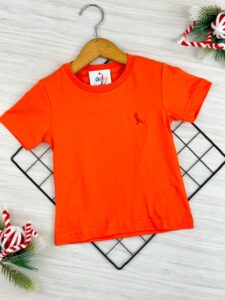 CAMISA PASSARINHO MAS LARANJA